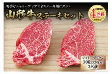 山形牛 ステーキセット 肉質等級：4等級(B.M.S.No.5)以上 F2Y-2514