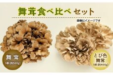 舞茸食べ比べセット F2Y-2374