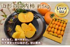 《先行予約 2025年度発送》山形の庄内柿 約5kg（27～32玉）L以上  柿 かき デザート フルーツ 果物 くだもの 果実 食品 山形県 FSY-0383