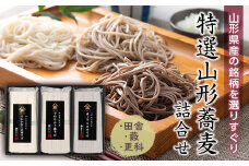 酒井製麺所 特選山形蕎麦詰合せ F2Y-5131