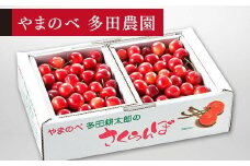 ≪2025年 先行予約≫さくらんぼ 紅さやか バラ詰 1kg (500g×2)「やまのべ多田農園」 F2Y-1367
