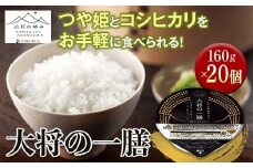 【訳あり】《厳選》山形県産パックごはん 大将の一膳 （つや姫 コシヒカリ使用） 20個 F2Y-6346