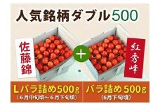 《先行予約 2026年度発送》【頒布会】さくらんぼ人気銘柄ダブル500（佐藤錦秀品Lサイズ&紅秀峰秀品2Lサイズ） FSY-0155