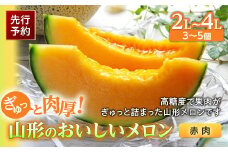 《先行予約 2025年度発送》ぎゅっと肉厚！山形のおいしいメロン【赤肉】  赤肉メロン メロン 赤肉 デザート フルーツ 果物 くだもの 果実 食品 山形県 FSY-0117