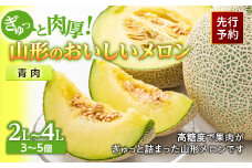 《先行予約 2025年度発送》ぎゅっと肉厚！山形のおいしいメロン【青肉】  青肉メロン メロン 青肉 デザート フルーツ 果物 くだもの 果実 食品 山形県 FSY-0118