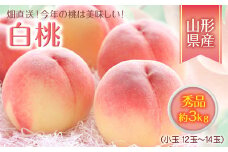 《先行予約 2025年度発送》今年の桃は美味しい！畑直送、小玉ですが秀品3kg！  もも モモ 桃 デザート フルーツ 果物 くだもの 果実 食品 山形県 FSY-1827