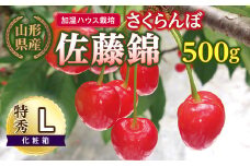 【先行予約】（加温ハウス栽培）山形県産さくらんぼ佐藤錦 500g 特秀 L 化粧箱 F2Y-5169