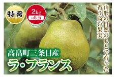 《2025年先行予約》山形県産 ラ・フランス  なし ナシ 梨 デザート フルーツ 果物 くだもの 果実 食品 山形県 F2Y-0004