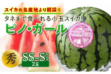《先行予約 2025年度発送》タネまで食べれる小玉スイカ！【スイカの名産地より朝採り】ピノ・ガール  スイカ すいか 西瓜 デザート フルーツ 果物 くだもの 果実 食品 山形県 FSY-0119
