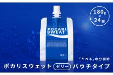大塚製薬 ポカリスウェットゼリー パウチ180g×24個 ゼリー 栄養ドリンク スポーツドリンク 水分補給 ポカリスエット F2Y-4229