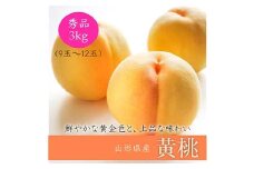 《2025年産先行受付》山形県産 黄桃 3kg ※品種玉数おまかせ  もも モモ 桃 デザート フルーツ 果物 くだもの 果実 食品 山形県 FSY-0018