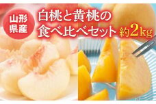 《先行予約 2025年度発送》白桃と黄桃の食べ比べセット 約2kg もも モモ 桃 デザート フルーツ 果物 くだもの 果実 食品 山形県 FSY-0524