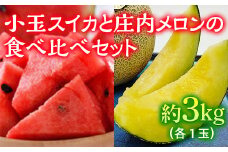 《先行予約 2025年度発送》 小玉スイカと庄内メロンの食べ比べセット （約3kg）  スイカ すいか 西瓜 デザート フルーツ 果物 くだもの 果実 食品 山形県 FSY-0525