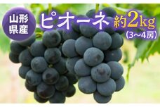 《先行予約 2025年度発送》ピオーネ約2kg(3～4房)  ぶどう ブドウ 葡萄 デザート フルーツ 果物 くだもの 果実 食品 山形県 FSY-0526