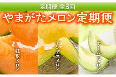 《2025年発送先行予約》やまがたメロン定期便(全3回) FSY-0104