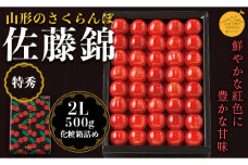 【山形の極み】贈答用 山形県産 さくらんぼ 佐藤錦 500g 特秀 2L 化粧箱詰め 2025年6月中旬から順次発送 F2Y-5175