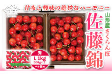 《先行予約》【山形の極み】さくらんぼ佐藤錦 1kg バラ詰 F2Y-5179