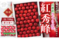【山形の極み】贈答用 山形県産 さくらんぼ 紅秀峰 700g 特秀 2L 置並べ 2025年6月下旬から順次発送 F2Y-5185