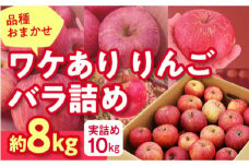 《先行予約 2025年度発送》品種おまかせワケありりんごバラ詰め8kg(実詰め10kg)  りんご リンゴ 林檎 デザート フルーツ 果物 くだもの 果実 食品 山形県 FSY-1858