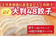 大判48餃子 F2Y-2814