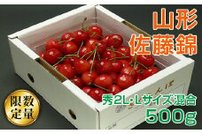 《先行予約》旬大粒♪山形産さくらんぼ佐藤錦☆秀2L・Lサイズ混合☆500gバラ詰【6月上旬～6月下旬発送】 FSY-0422