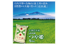令和5年産 山形県の米どころ庄内平野で育った庄内米 つや姫5kg F2Y-3675