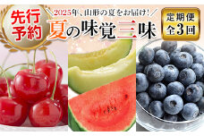 【先行予約（2025年度発送）】夏の味覚三昧（3回定期便） FSY-0333