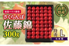 【先行予約】（加温ハウス栽培）山形県産さくらんぼ佐藤錦 300g 特秀 L 化粧箱 F2Y-5160