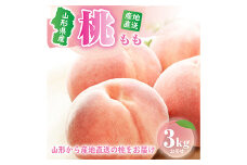 《先行予約 2024年度発送》山形県産もも（品種・玉数おまかせ） 3kg FSY-0229