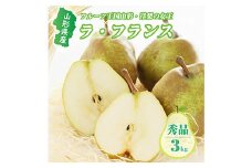 《2024年度発送 先行受付》山形県産ラ・フランス 秀品 3kg  なし ナシ 梨 デザート フルーツ 果物 くだもの 果実 食品 山形県 FSY-0555