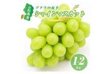 《2024年度発送 先行受付》山形県産ぶどう(シャインマスカット)  マスカット ぶどう ブドウ 葡萄 デザート フルーツ 果物 くだもの 果実 食品 山形県 FSY-0554