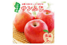 《2024年度発送 先行受付》山形県産りんご(サンふじ) 秀品 5kg  りんご リンゴ 林檎 デザート フルーツ 果物 くだもの 果実 食品 山形県 FSY-0556
