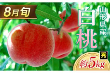 ≪2025年 先行予約≫ 8月旬の白桃 約5kg 秀（20～22玉）  もも モモ 桃 デザート フルーツ 果物 くだもの 果実 食品 山形県 FSY-1328