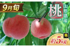 ≪2025年 先行予約≫ 9月旬の桃（白桃または黄桃）約5kg 秀（小玉 20～22玉）  もも モモ 桃 デザート フルーツ 果物 くだもの 果実 食品 山形県 FSY-1329