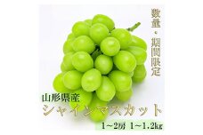 《令和6年産先行受付》※数量・期間限定※ 山形県産シャインマスカット 約1kg～1.2kg 1～2房  マスカット ぶどう ブドウ 葡萄 デザート フルーツ 果物 くだもの 果実 食品 山形県 FSY-0021