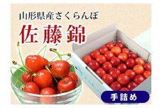 《先行予約 2026年度発送》さくらんぼ【佐藤錦】秀品 L 手詰め 500g FSY-0154