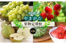 《先行予約 2025年度発送》やまがた果物定期便 特選！（全4回） FSY-0528