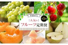 《先行予約 2025年度発送》やまがた人気のフルーツ定期便（全5回） FSY-0529