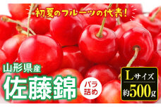 《先行予約 2025発送》さくらんぼ 佐藤錦（Lサイズ）バラ詰め 約500g FSY-0531