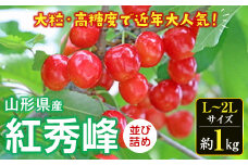 《先行予約 2025年度発送》さくらんぼ 紅秀峰（L～2Lサイズ）並び詰め 約1kg FSY-0532