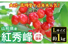 《先行予約 2025年度発送》さくらんぼ 紅秀峰（Lサイズ）バラ詰め 約1kg FSY-0534