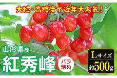 《先行予約 2025年度発送》さくらんぼ 紅秀峰（Lサイズ）バラ詰め 約500g FSY-0533