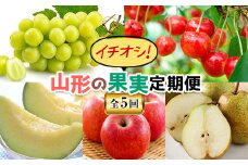 《先行予約 2024年度発送》山形の果実定期便 イチオシ！（全5回） FSY-0538