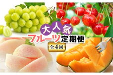 《先行予約 2025年度発送》山形大人気フルーツ定期便（全4回） FSY-0539