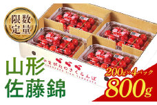 《先行予約 2025年度発送》♪フルーツ王国山形♪さくらんぼ佐藤錦800g（200g×4） FSY-0420