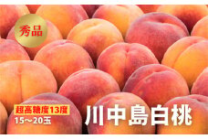 《2025年先行予約》【超高糖度13度】川中島白桃 秀品 15～20玉  もも モモ 桃 デザート フルーツ 果物 くだもの 果実 食品 山形県 FSY-0442