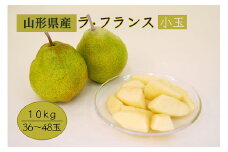 《先行予約 2025年度発送》【山形県産】小玉ラ・フランス10kg（36～48玉/M～2Lサイズ）  なし ナシ 梨 デザート フルーツ 果物 くだもの 果実 食品 山形県 FSY-0882