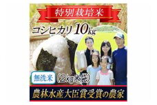 【令和5年産米】《無洗米》特別栽培米 コシヒカリ 2kg×5袋 山形県庄内産  米 お米 ブランド米 銘柄米 備蓄 日本米 こしひかり コメ ごはん ご飯 食品 山形県 F2Y-3132