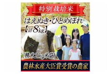 【令和5年産米】「特別栽培米」2種食べ比べセット ひとめぼれ・はえぬき 精米 2kg×4袋 山形県庄内産  ひとめぼれ 米 お米 ブランド米 銘柄米 備蓄 日本米 コメ ごはん ご飯 食品 山形県 F2Y-3128