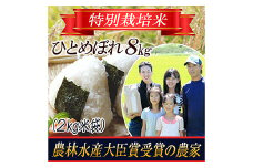 【令和5年産米】特別栽培米 ひとめぼれ 精米2kg×4袋 山形県庄内産  米 お米 ブランド米 銘柄米 備蓄 日本米 コメ ごはん ご飯 食品 山形県 F2Y-3136